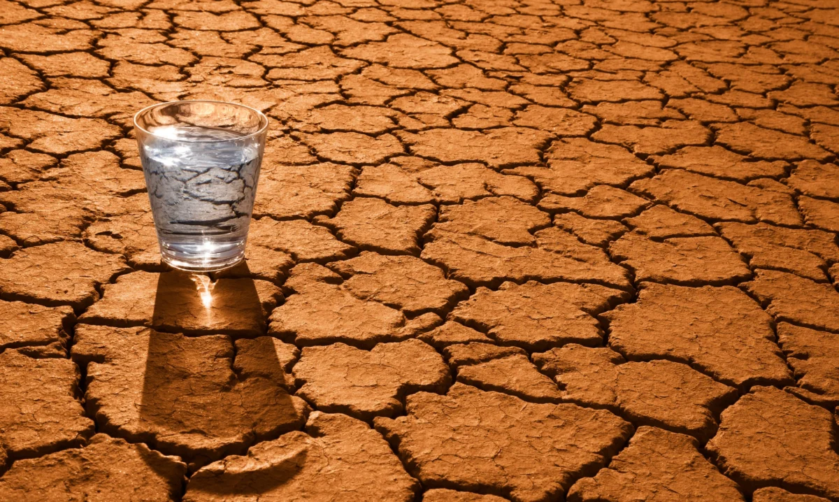 Beyond the Water Bottle: Strategies to Combat Persistent Dry Mouth